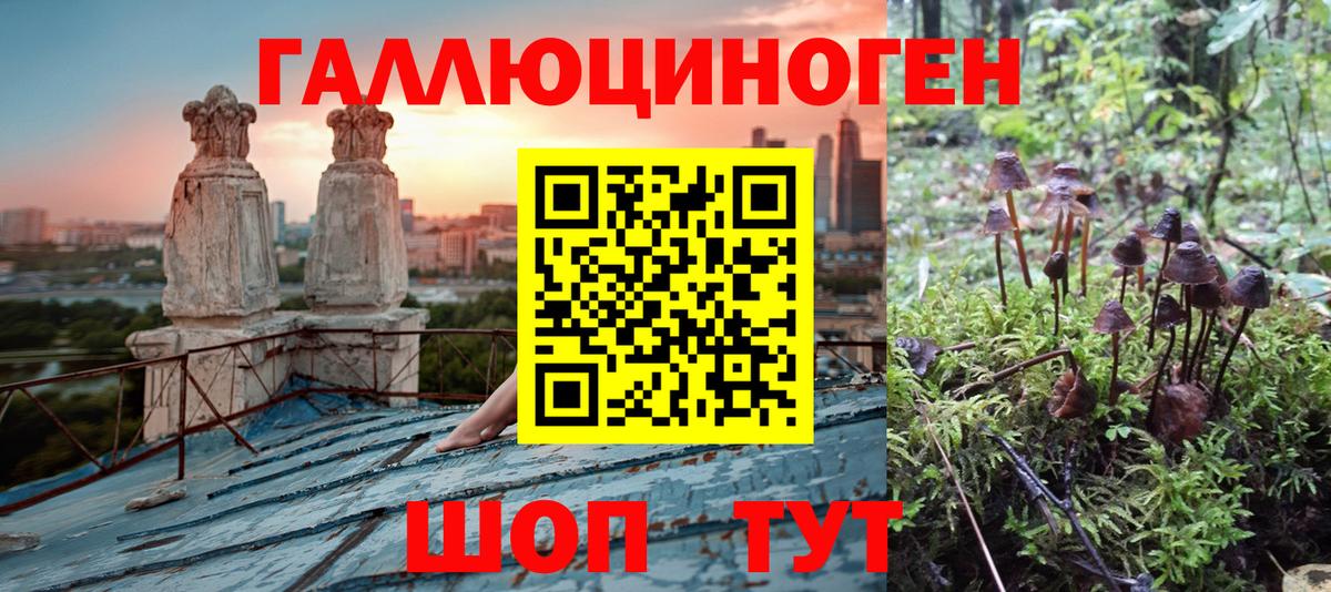 Галлюциногенные грибы мицелий Электрогорск
