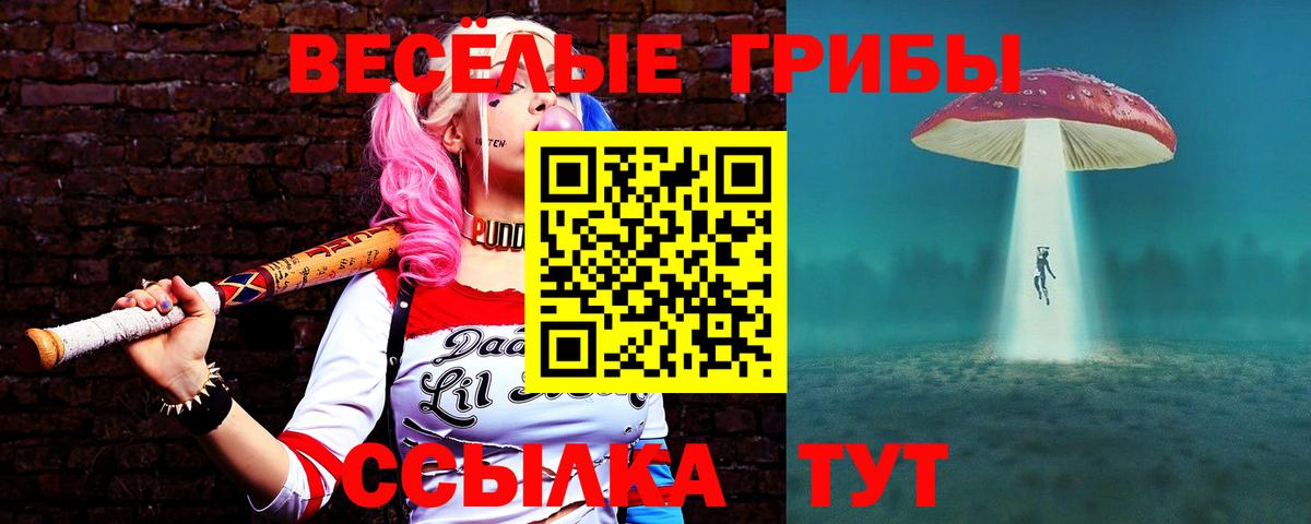 хочу   Галлюциногенные грибы мицелий  Электрогорск  Вход с VPN  Галлюциногенные грибы мухоморы 